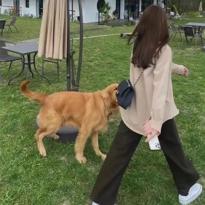 大宅院的女人